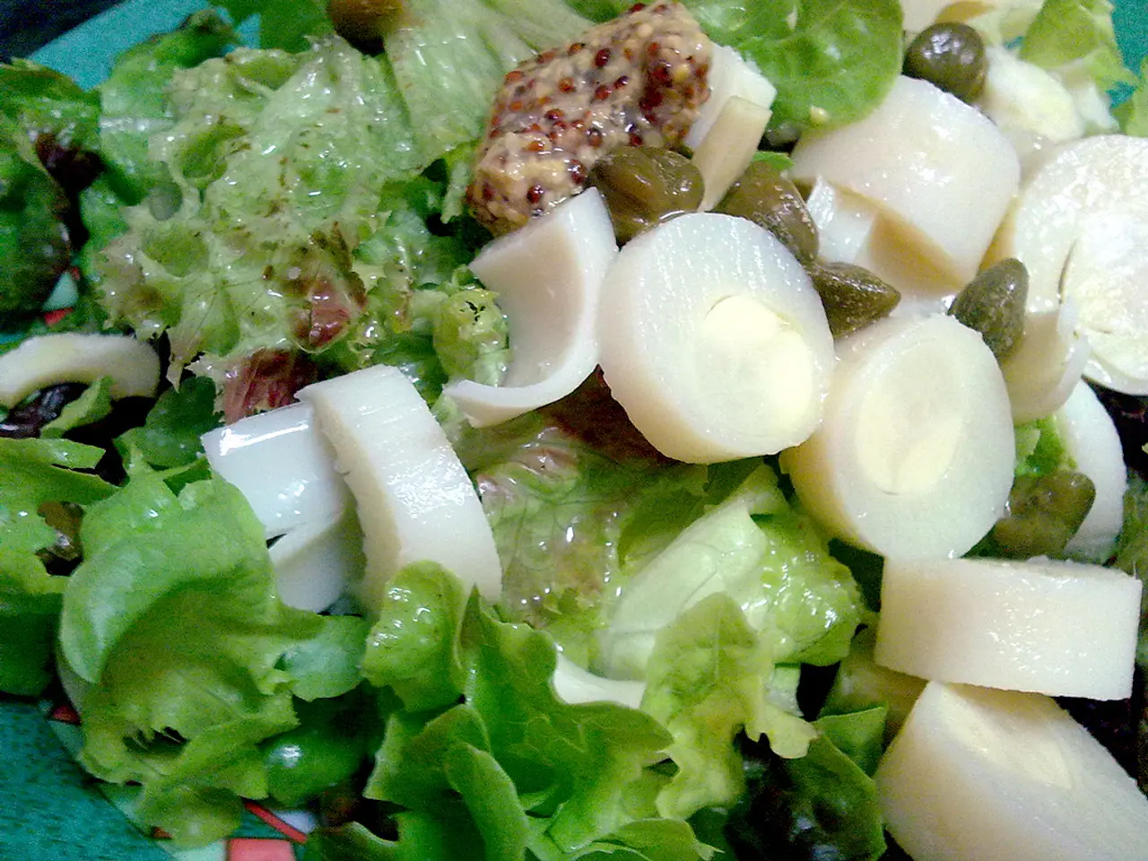 Guide for Cultivating Salad Greens in Pots: A Step-by-Step Approach