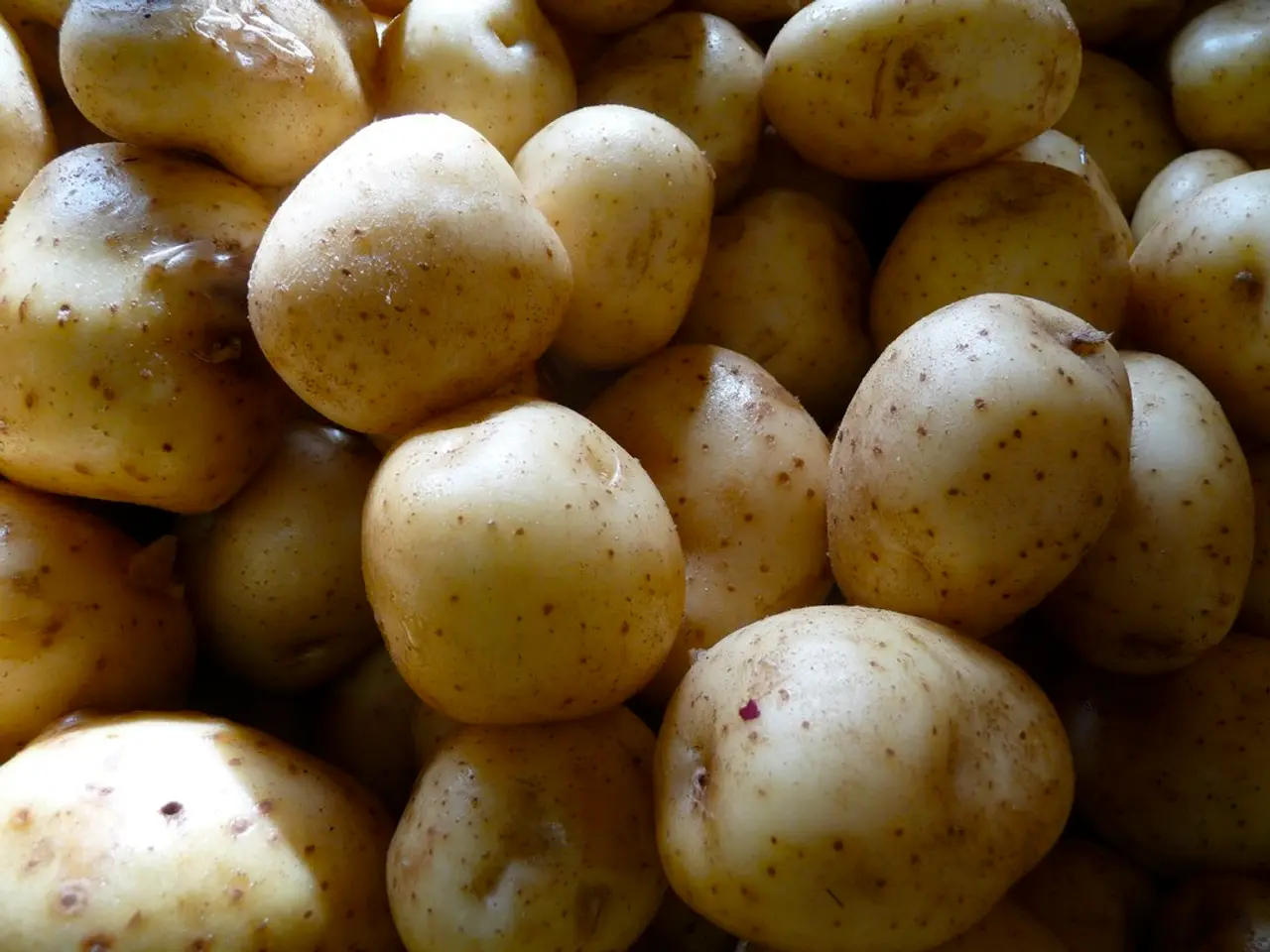 Monty Don's First Phase of Potato Experiment