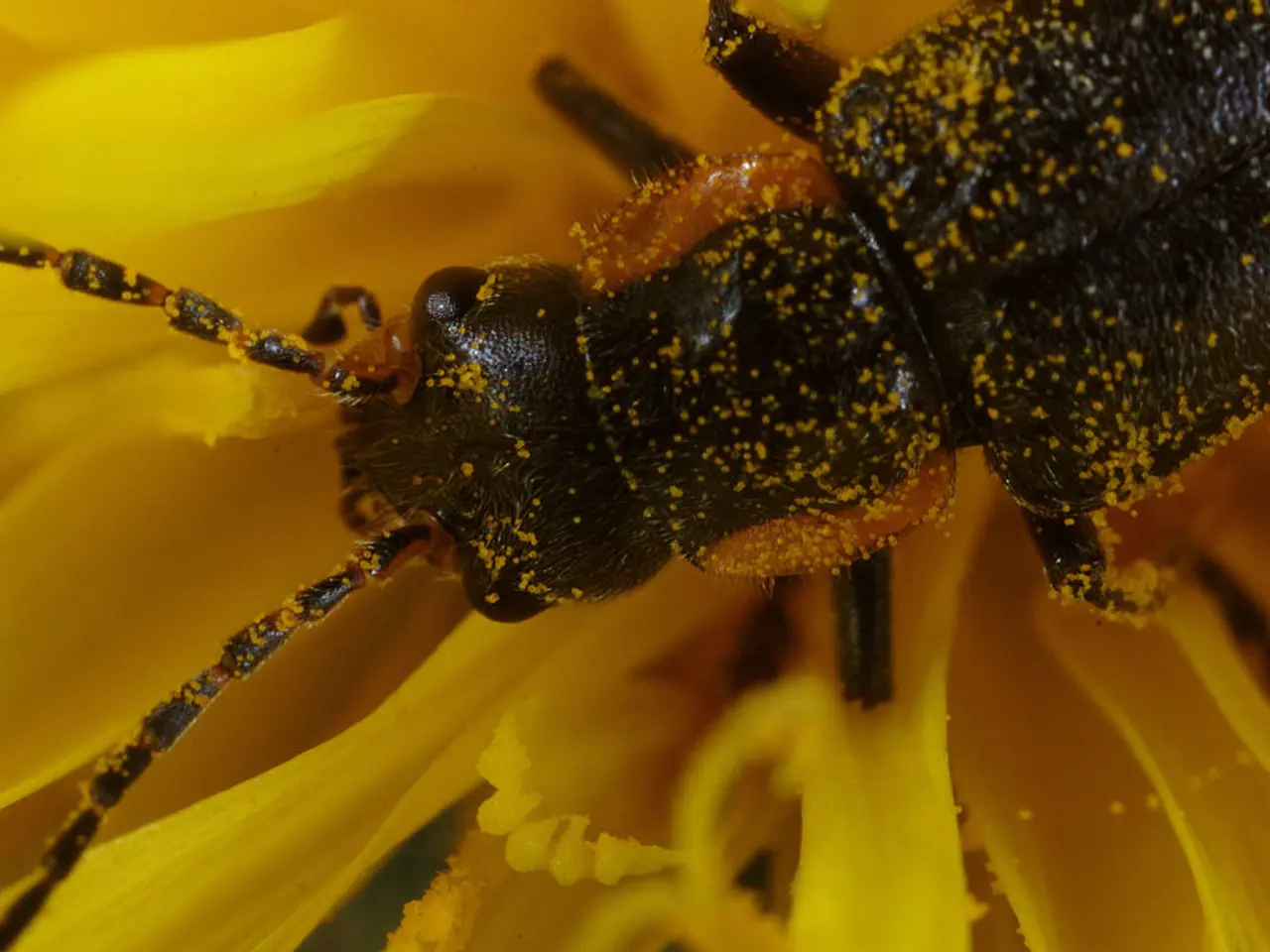 Strategies for Deterring Caterpillars from Tomato Plants: Efficient Methods for Garden Enthusiasts