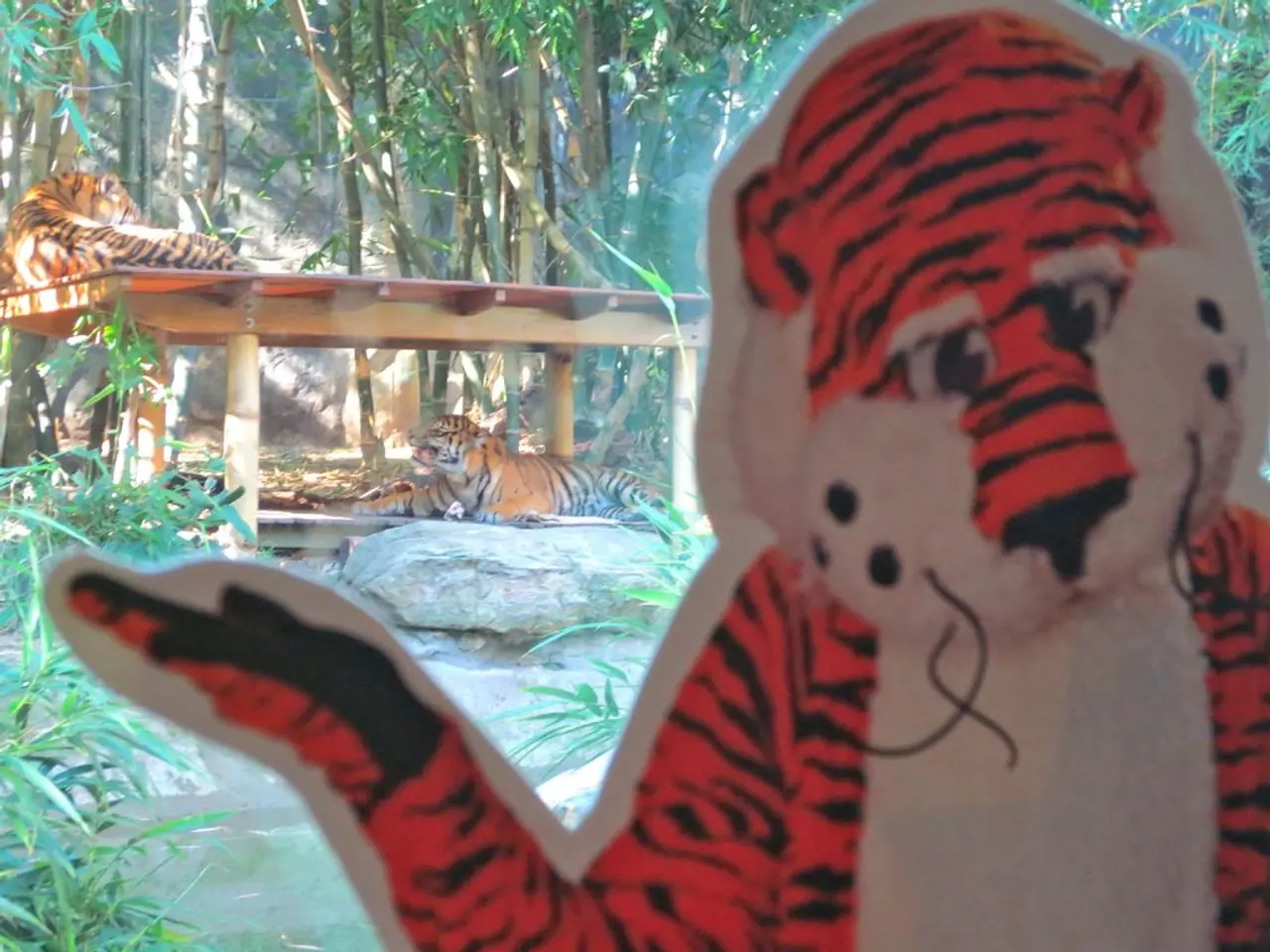 Felines with Similar Stripes: Distinguishing a Panther from a Cougar