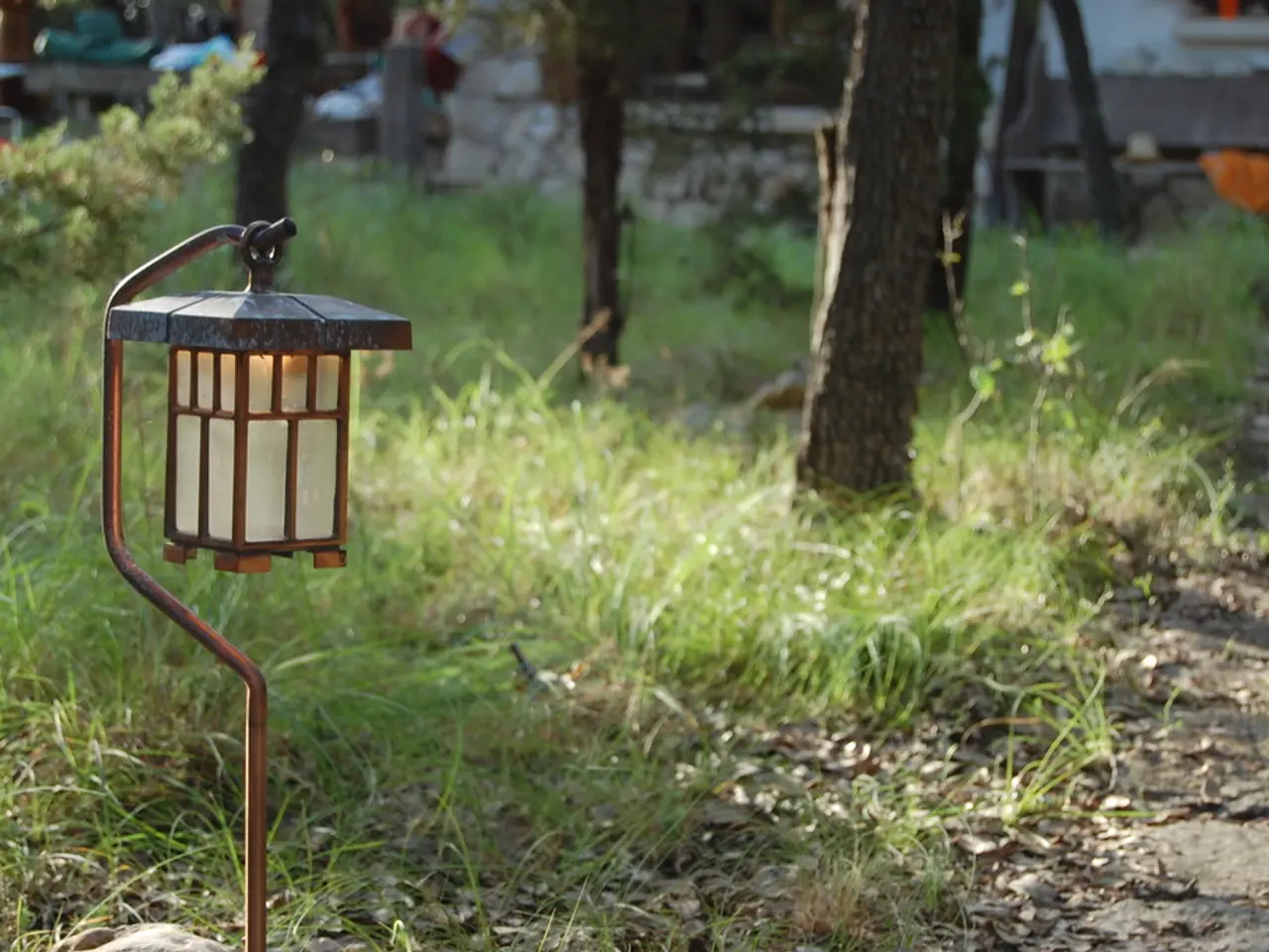 August Gardening Tasks for Successful Flower and Vegetable Production