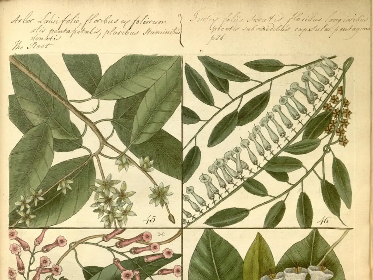 Essential Information on Employing Worm Compost for Your Flora