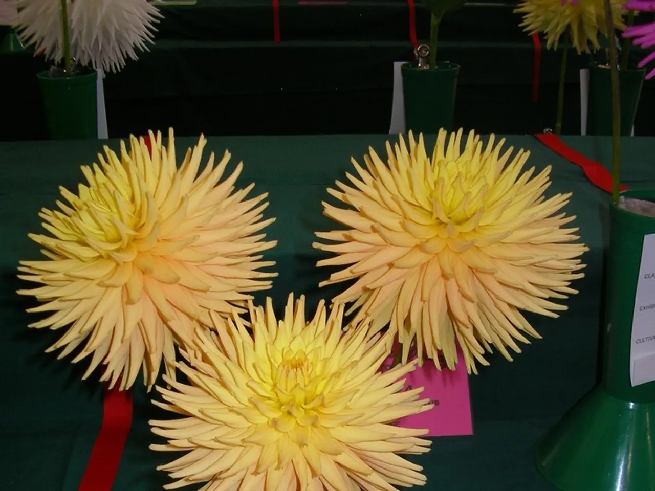 Recycled flip flop-based vases display vivid colors