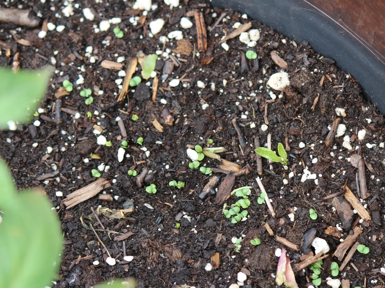 Soil: A complex, bustling environment that lies beneath your feet, more than you might realize.