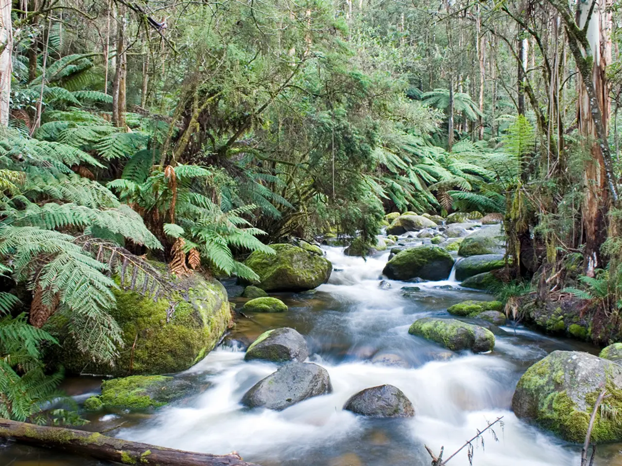 Involvement of the Commission extended to the planning phase of the program.