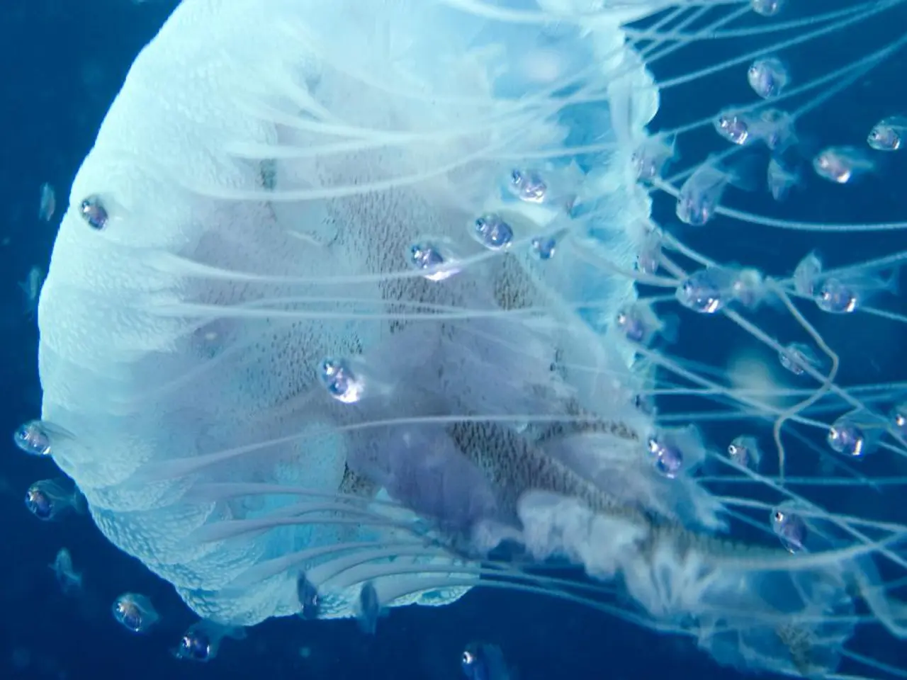 Improved Water Quality in Brandenburg, With Some Minor Exceptions