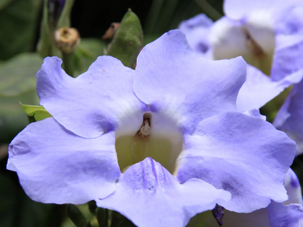 Daily Routines in the Morning: Insights from Gardenuity