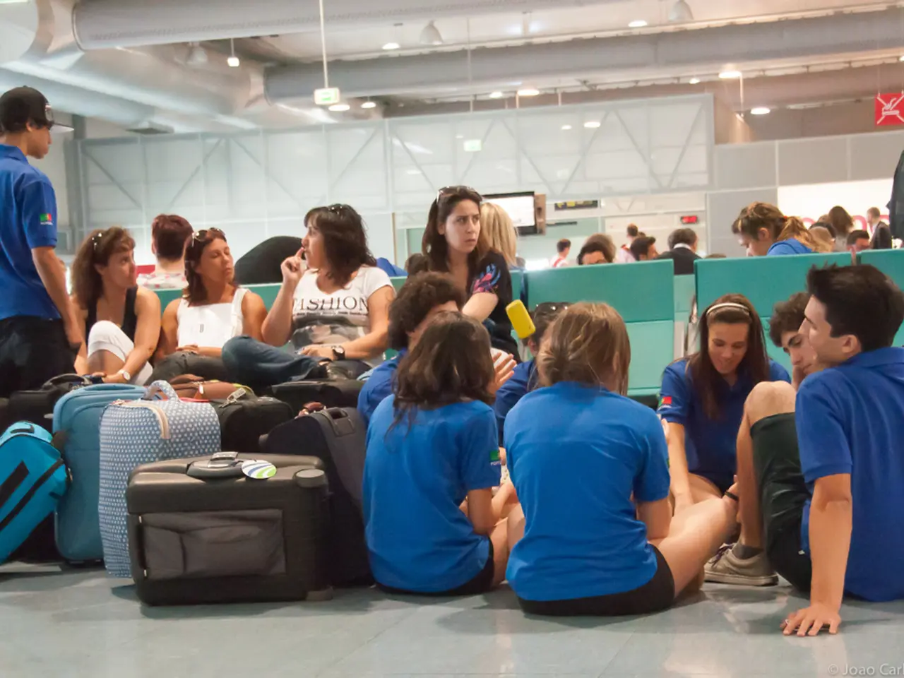 Frankfurt's outdoor cinema, a distinct venue