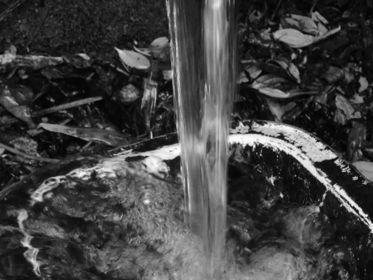 Guide for Nurturing and Maintenance of Prayer Plants: Comprehensive Insights Revealed