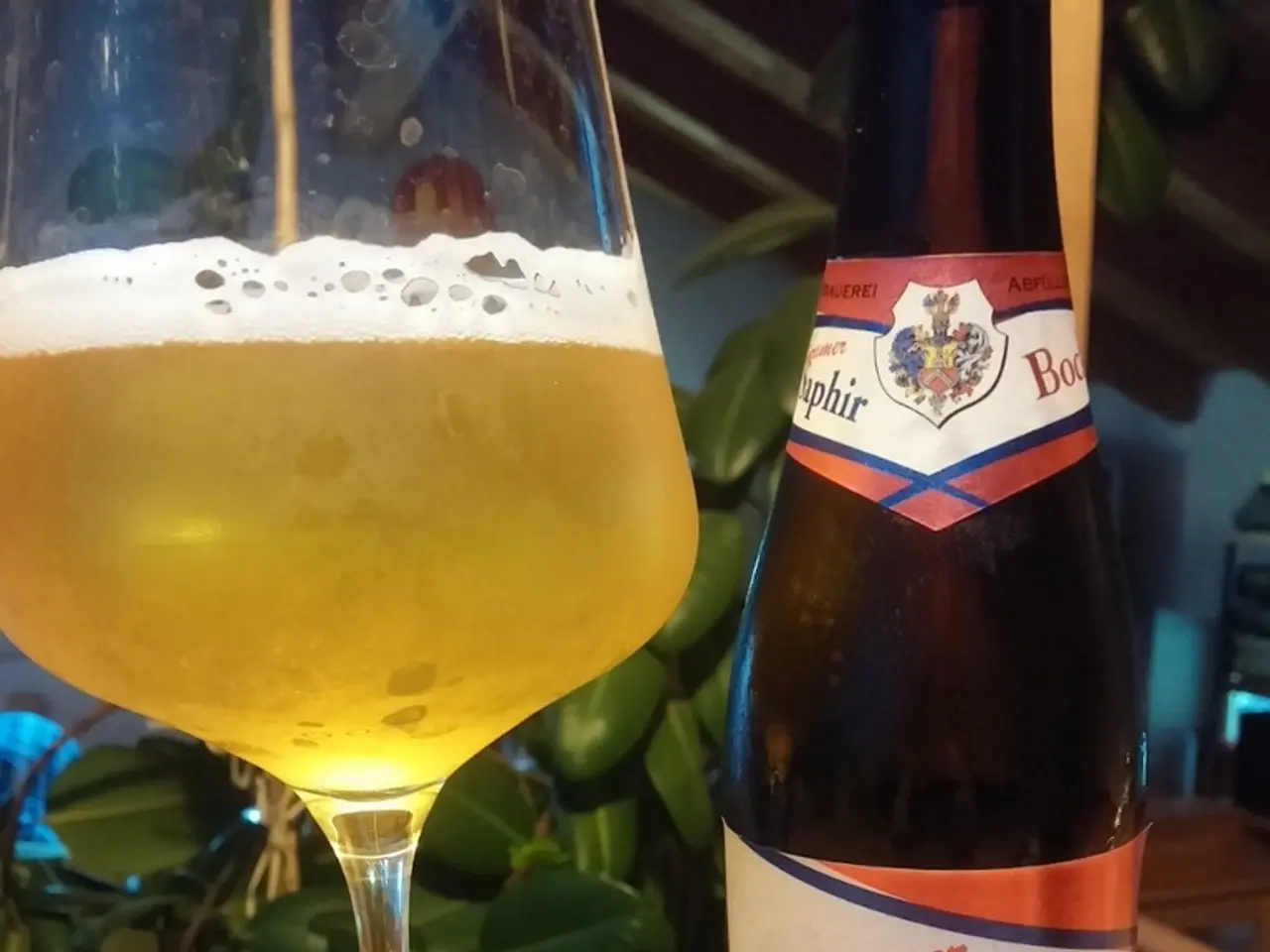 Winemaker President of Saarland anticipates a "premium harvest"