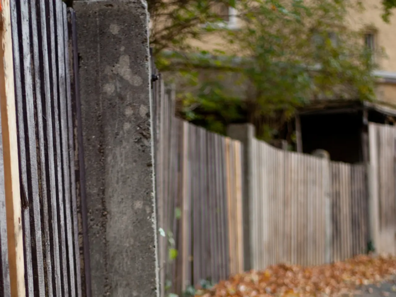 Tree Damage by English Ivy: Guidelines for Extracting Ivy from Arboreal Life