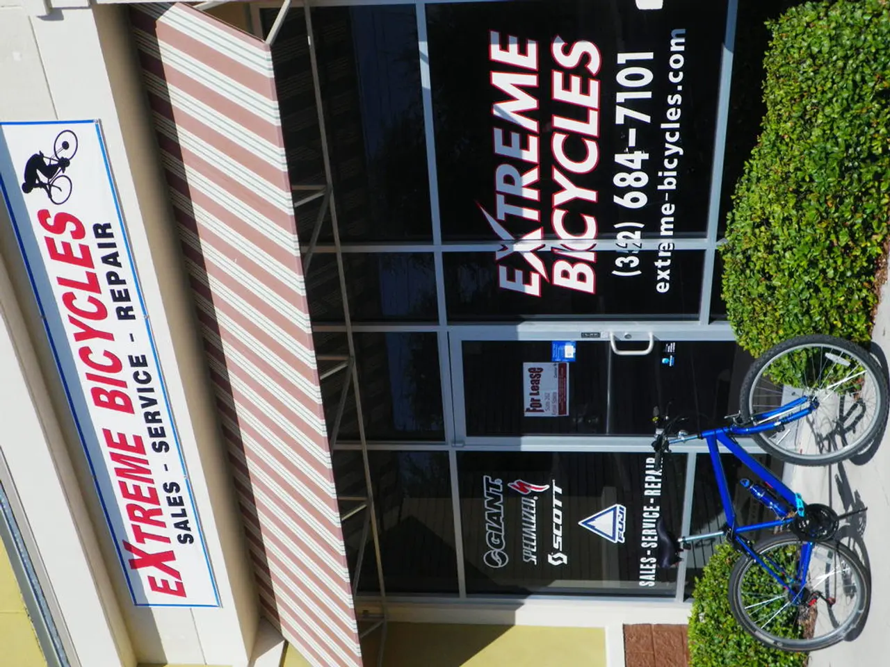 Transformed old cottage near Antwerp into a family retreat through harmonious fusion of Wabi-Sabi...