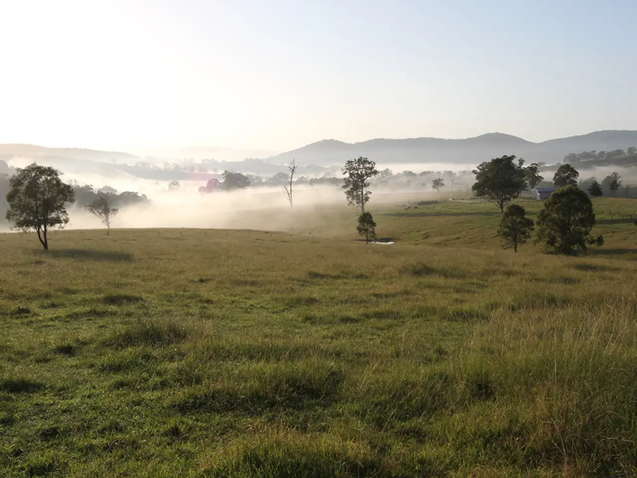 In this image there are trees, hills, building in the background. In the foreground there are...