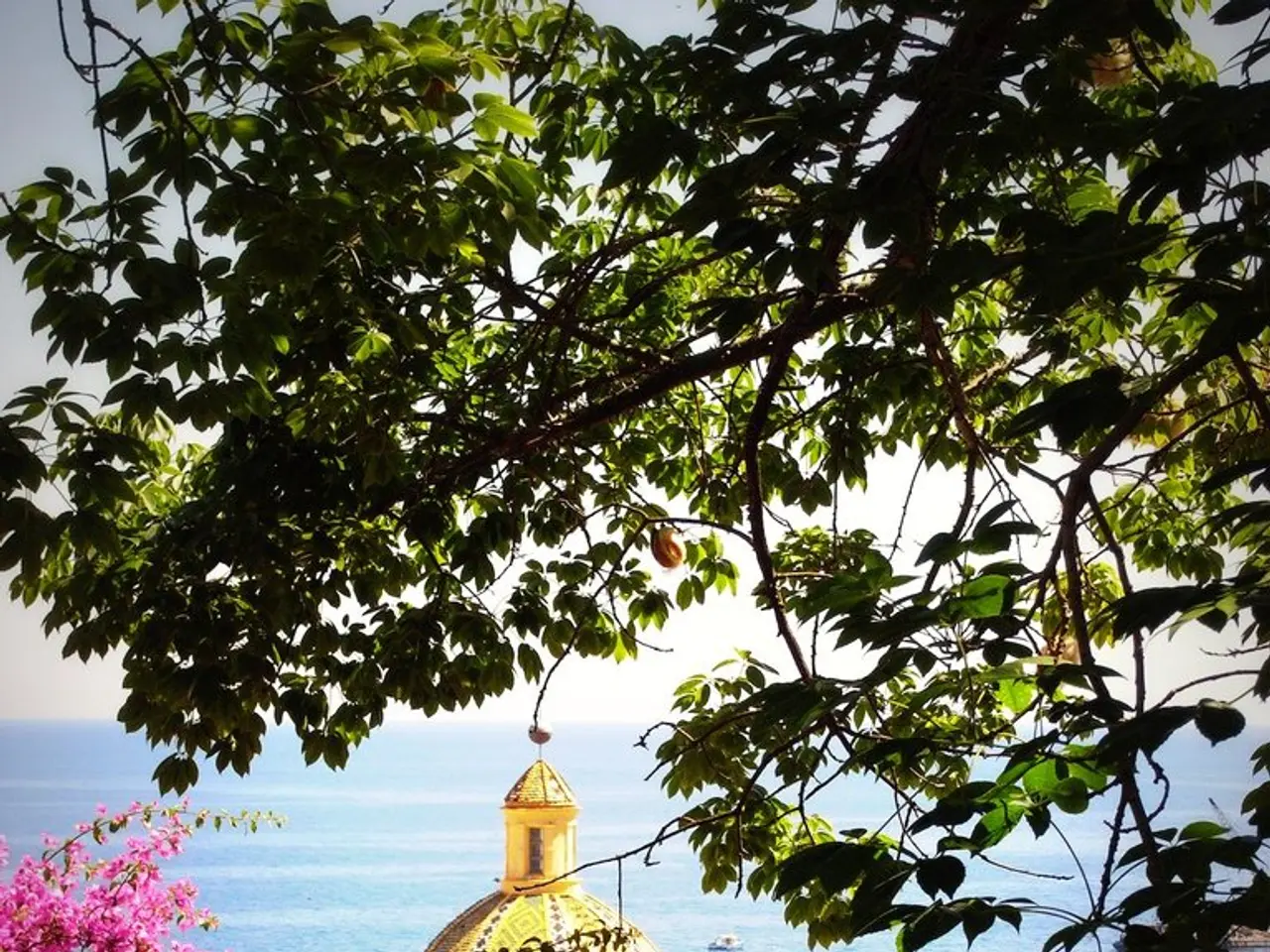 In this image in the foreground there is a tree, and at the bottom there are some plants and...