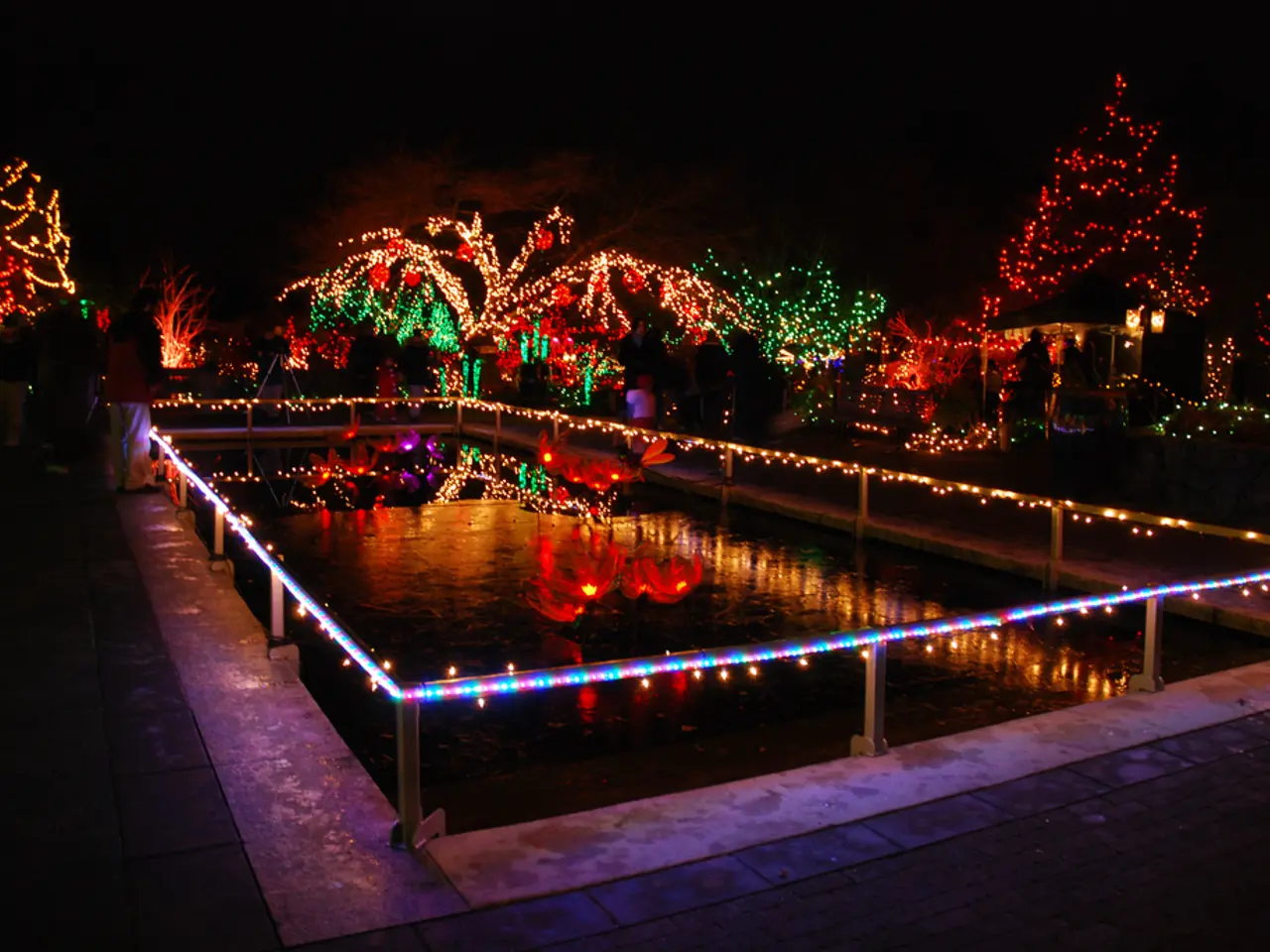 In this image there is a swimming pool in the middle which is decorated with the lights. In the...