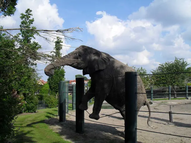 Chaos at Zoo Leipzig: Uproar in the Gondwana exhibit!