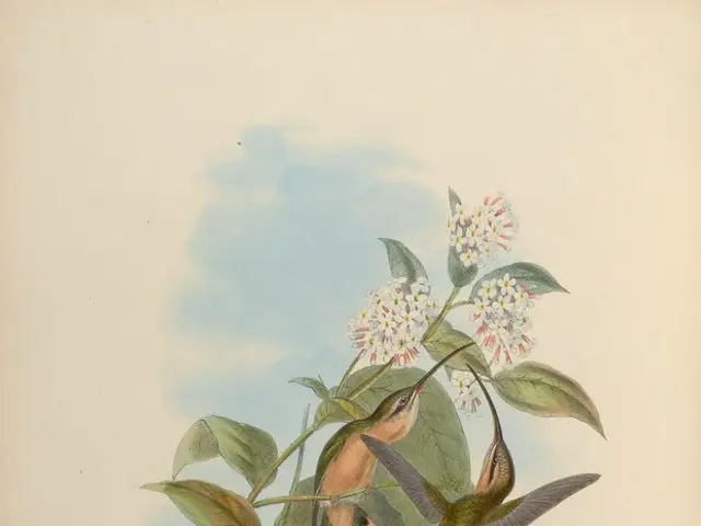 Advanced Study in Botanical Art and Techniques in Drawing and Painting of Plants