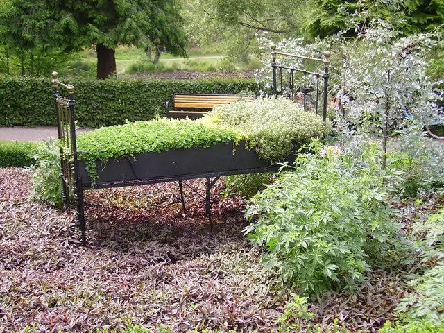 Top-Notch Vines Ideal for Trellis Support: A Guide