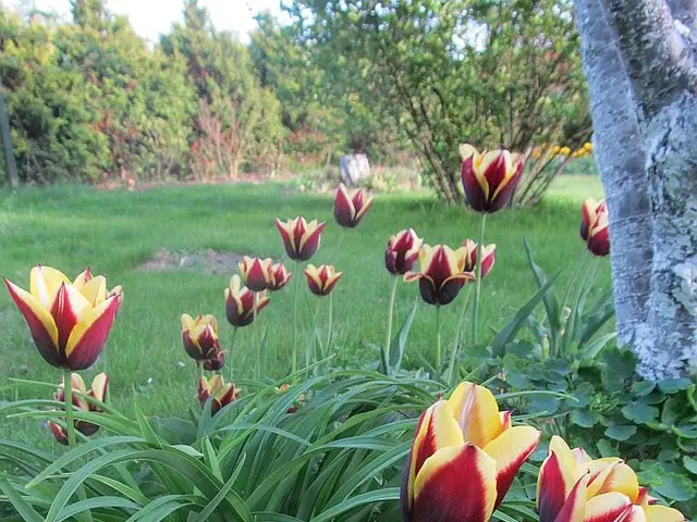 Embrace Vertical Gardening Through These Trellis-Compatible Vegetation Options