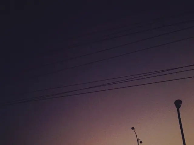 Mastering Intricate Bonsai Structuring: Guiding Branches with Accuracy