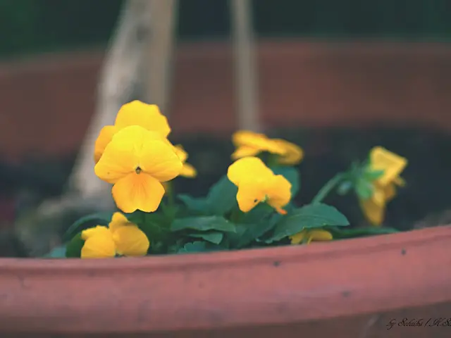 Guide on Amaryllis Bulb Multiplication: Steps to Grow Amaryllis Roots