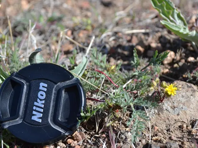 Determining the Appropriate Time for Applying Third-Step Lawn Fertilizer