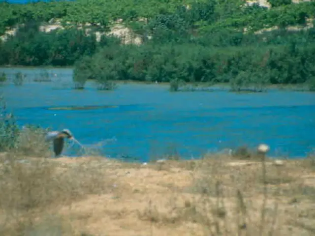 Efficient Watering Strategies in Gardening: Methods for Reducing Water Waste