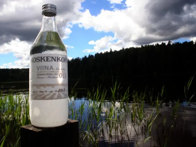 Summer-Cooling House Plants: A Refreshing Seven