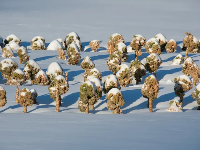 Methods to Determine Trail Conditions, Focusing on Snow Tracking