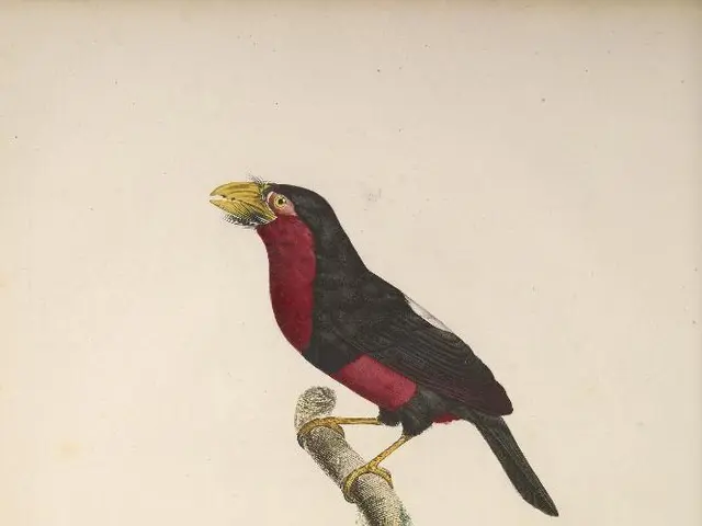 Craft DIY Bird Feeders at Home