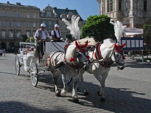 Barn-building tradition revitalized by architect Erin Besler in the United States