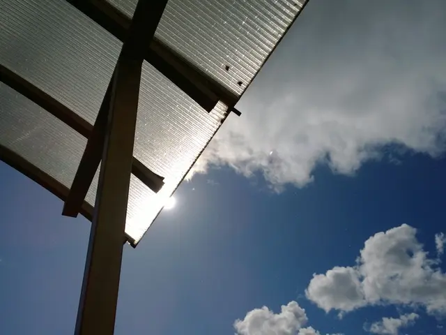 Identifying Potential Roof Damages Before They Result in Expensive Repairs