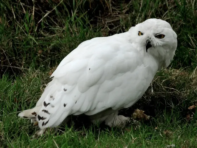 Thriving Ecosystem Observed at Carlton Marshes Wildlife Sanctuary