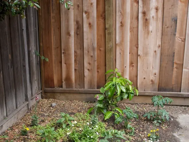 Top 10 Indoor Plants for Purifying the Air