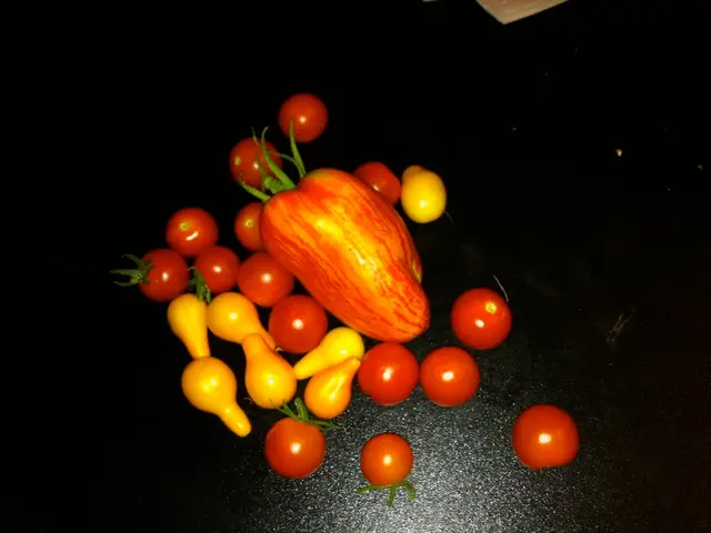 Environmental-Friendly Fruit Picking Methods to Preserve Nature