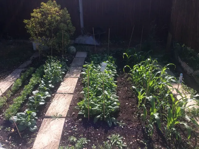 Planting Bed Quantity Calculation Guide