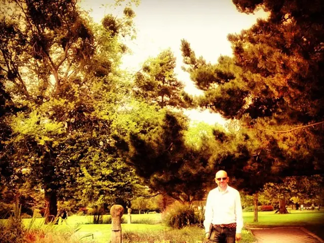 Investigating the Impact of Hair on House Plants' Growth