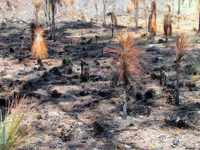 Top Garden Enhancers: 8 Digital Aids Transforming Your Real-Life Horticulture Experience