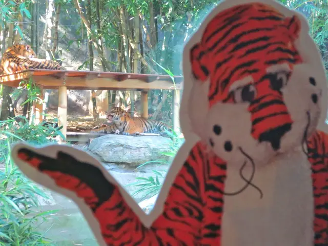 Felines with Similar Stripes: Distinguishing a Panther from a Cougar