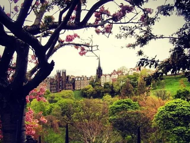 Strategies for Shielding Your Rooftop from Weather Wreckage and Moisture Infiltration