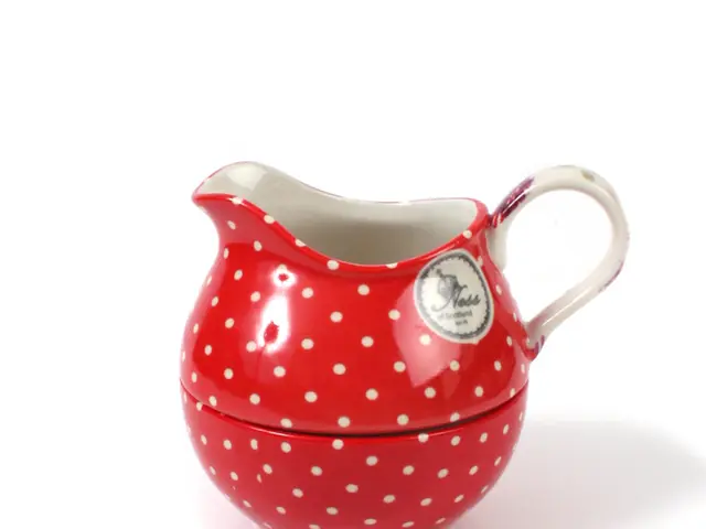 Insightful Assessment: YETI Rambler Large Jug Examination