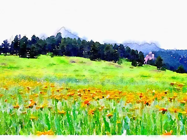 Landscaping professional strives to 'enhance' urban environments