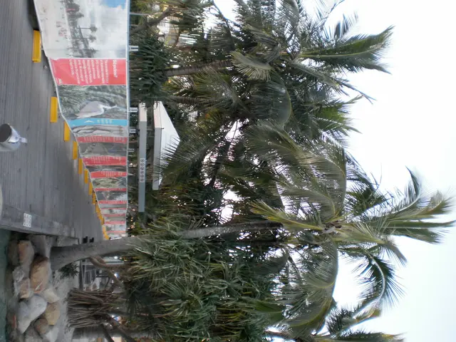 Summer hiking enthusiasts can snag a 50% discount on AllTrails+, gaining access to countless...