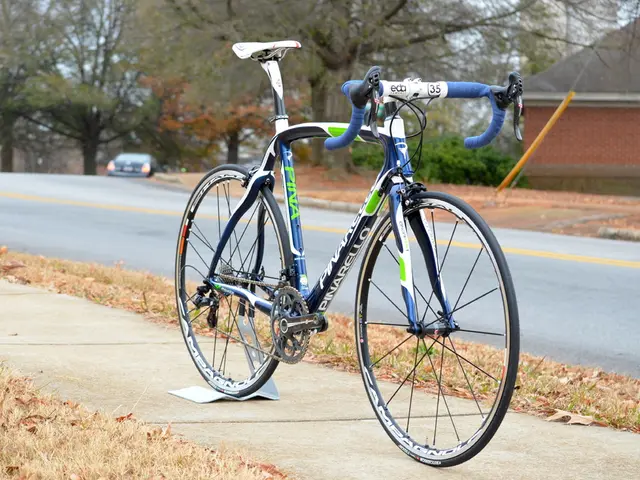 Contemplating the idea of forgoing personal vehicle usage?