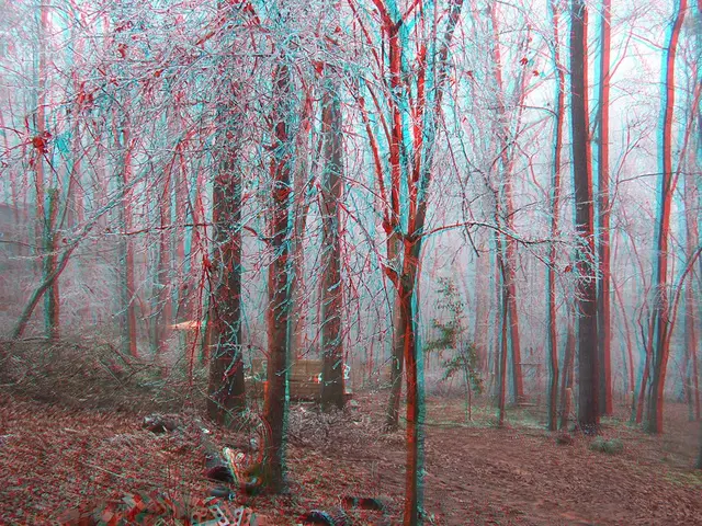 Detect Boxwood Leafminer Infestation and Learn How to Eradicate This Boxwood Pest