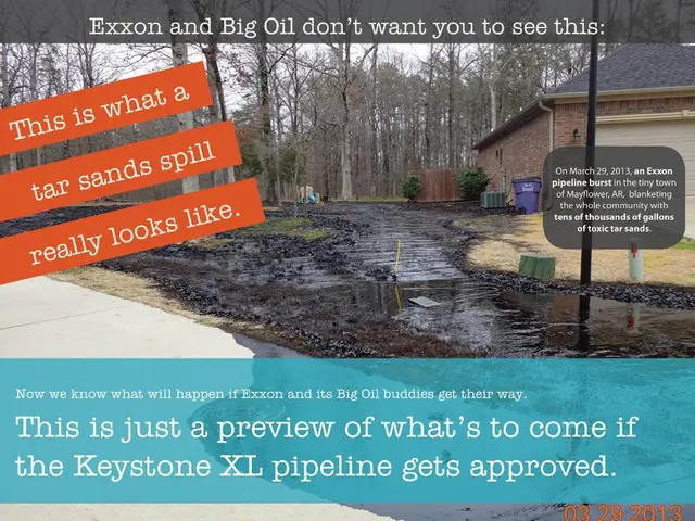 Embracing Sustainable Lifestyle: A Step-by-Step Guide for Breaking Away from the Throwaway Habit