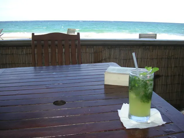 Monitoring the presence of plastics in marine environments