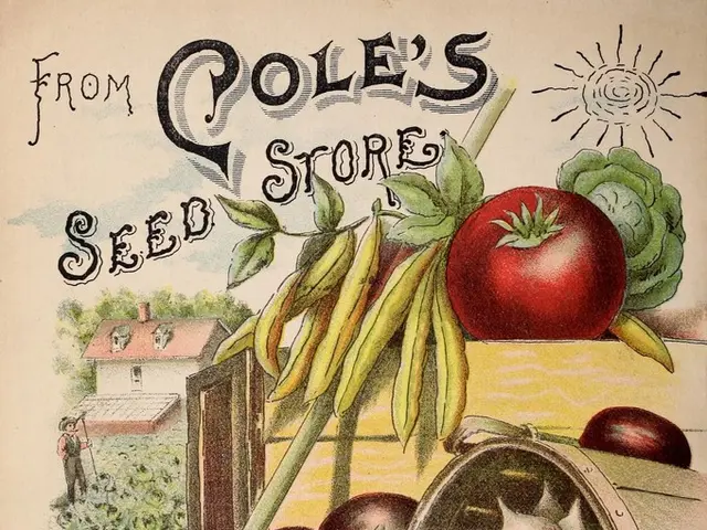 Guidelines for a More Eco-Friendly 12 Months