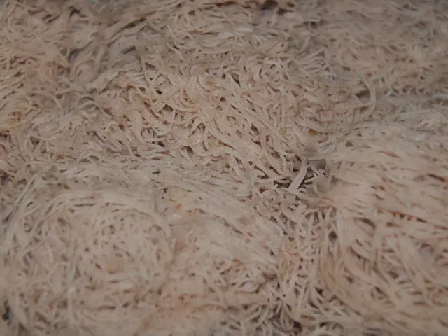 Transform your camping chairs into instant comfort with this Pool Noodle trick