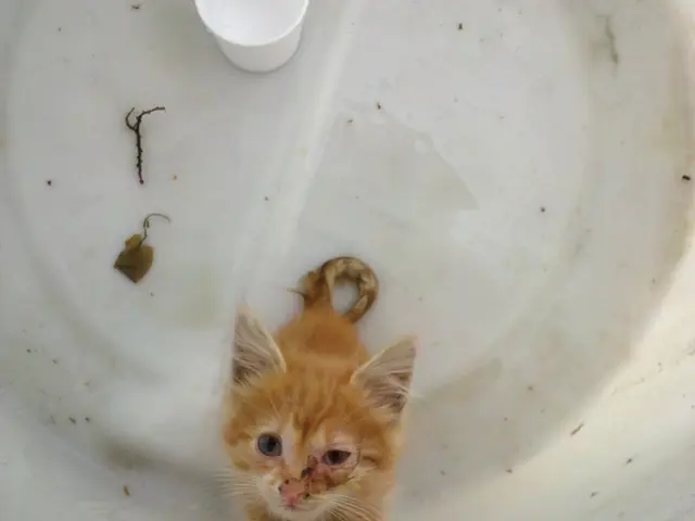 Adjust your boiler temperature for energy cost savings: A practical guide for reducing energy costs...